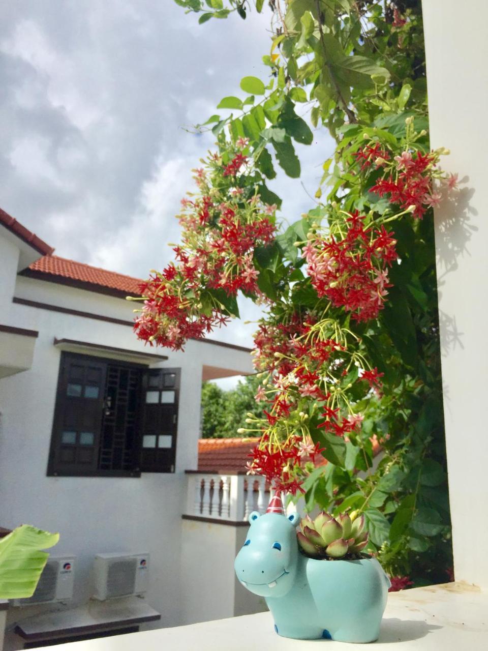 Holy Land Homestay 호이안 외부 사진