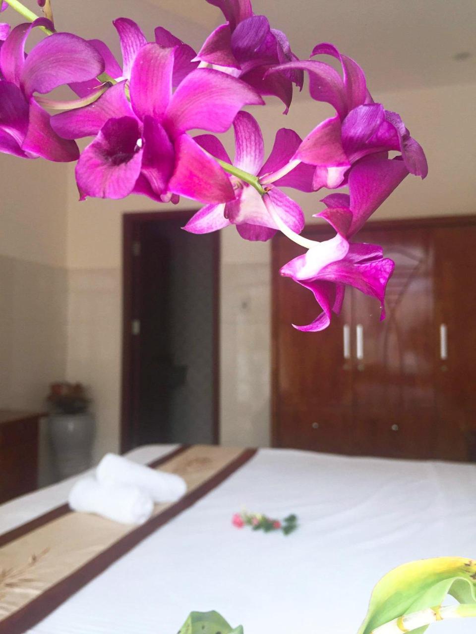 Holy Land Homestay 호이안 외부 사진