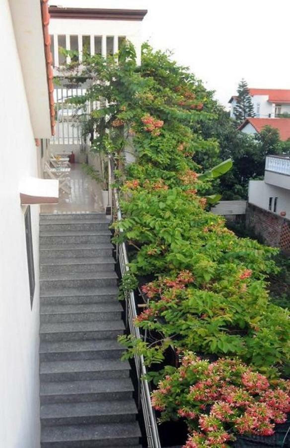 Holy Land Homestay 호이안 외부 사진